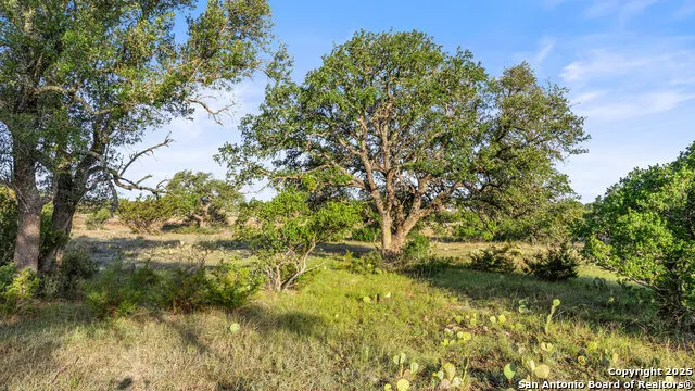 LOT 4 Vista Ridge Round Mountain, TX 78663