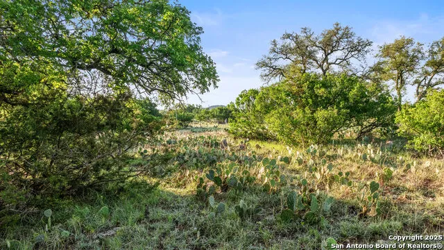 LOT 4 Vista Ridge Round Mountain, TX 78663