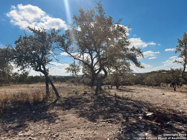 30150 Roadrunner Bulverde, TX 78163