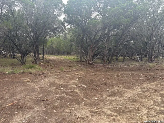 142 Aermotor Boerne, TX 78006