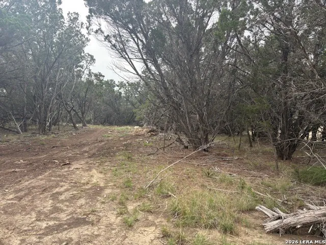 142 Aermotor Boerne, TX 78006