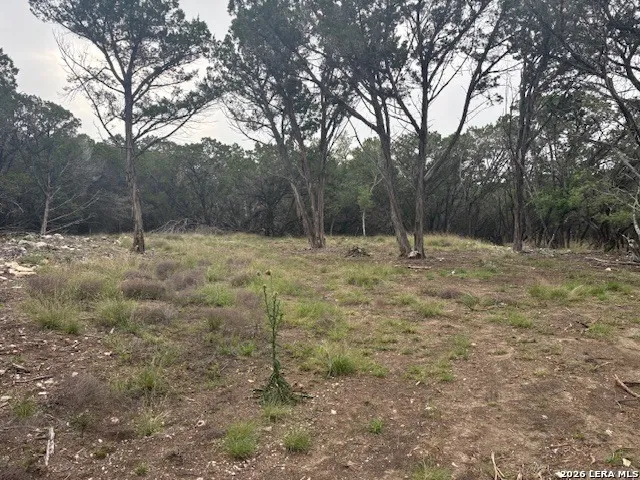 142 Aermotor Boerne, TX 78006