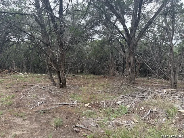 142 Aermotor Boerne, TX 78006