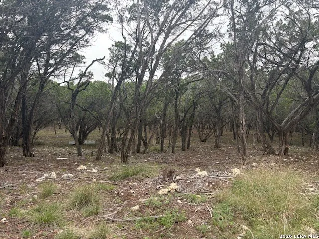 142 Aermotor Boerne, TX 78006