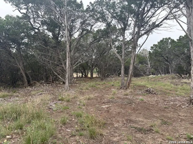 142 Aermotor Boerne, TX 78006