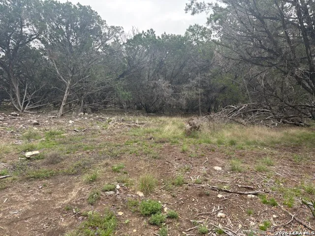 142 Aermotor Boerne, TX 78006