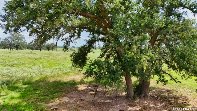 0 Cr 284 Gonzales, TX 78629
