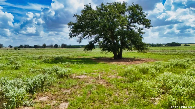 0 Cr 284 Gonzales, TX 78629