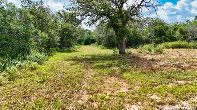 0 Cr 284 Gonzales, TX 78629