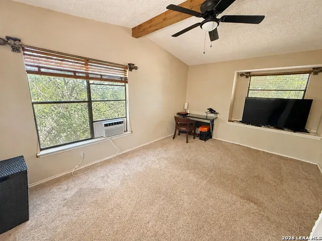 17319 Antlers Cv Helotes, TX 78023