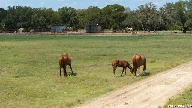 285 OBST RD Bulverde, TX 78163