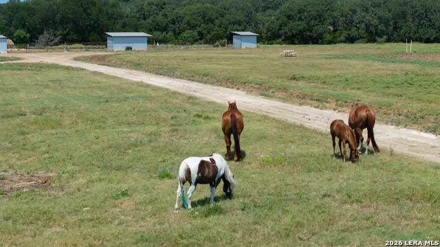 285 OBST RD Bulverde, TX 78163