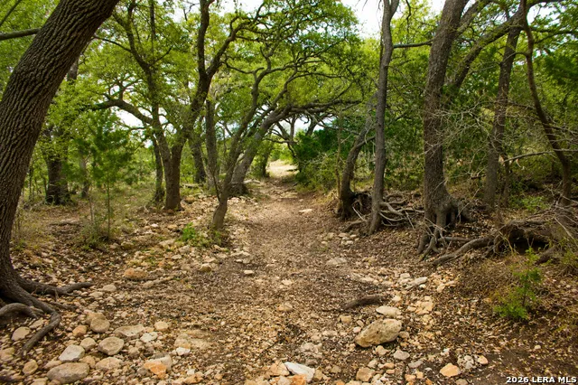285 OBST RD Bulverde, TX 78163