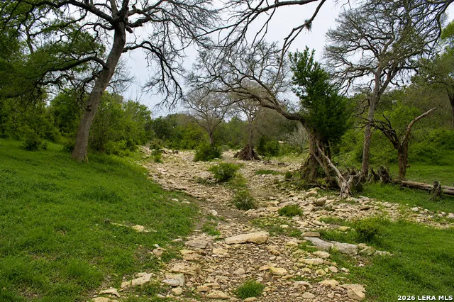 285 OBST RD Bulverde, TX 78163