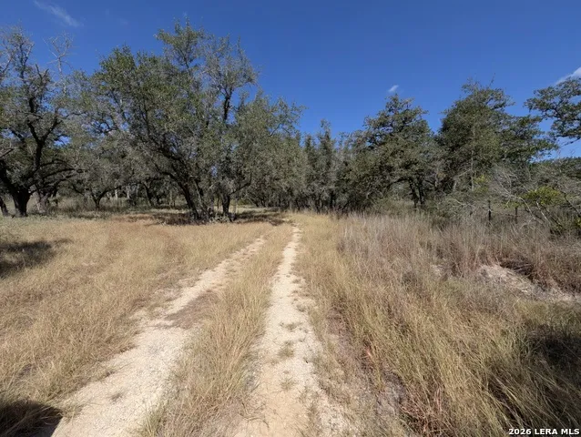 2404 County Road 320 Floresville, TX 78114