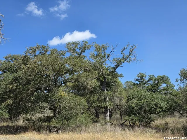 2404 County Road 320 Floresville, TX 78114
