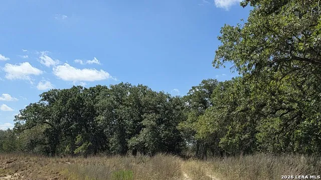 2404 County Road 320 Floresville, TX 78114
