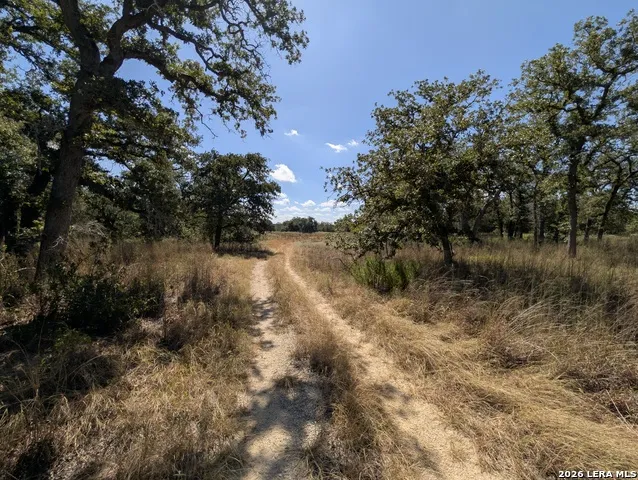 2404 County Road 320 Floresville, TX 78114