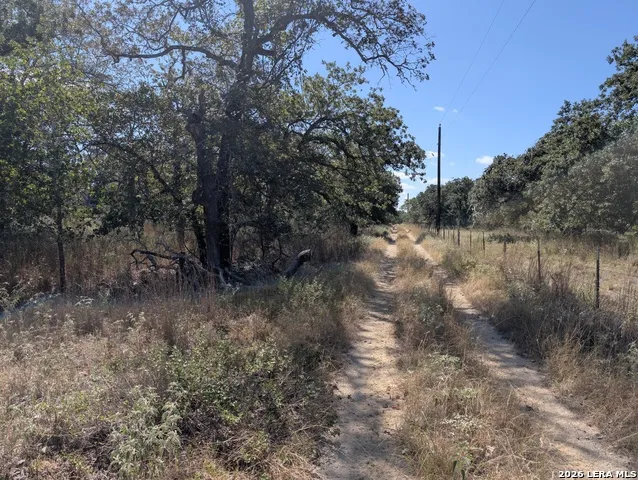 2404 County Road 320 Floresville, TX 78114