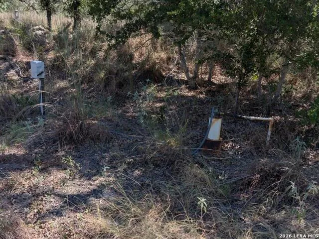 2404 County Road 320 Floresville, TX 78114