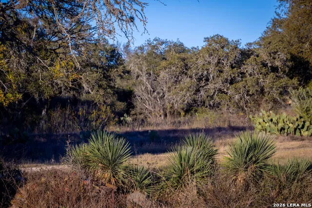 19512 Tonkawa Pass Garden Ridge, TX 78266