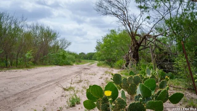 1251 County Road 210 Floresville, TX 78114