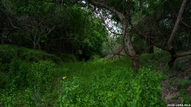 1251 County Road 210 Floresville, TX 78114