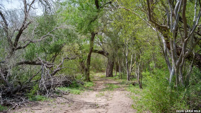 1251 County Road 210 Floresville, TX 78114