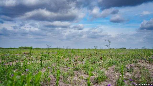 1251 County Road 210 Floresville, TX 78114