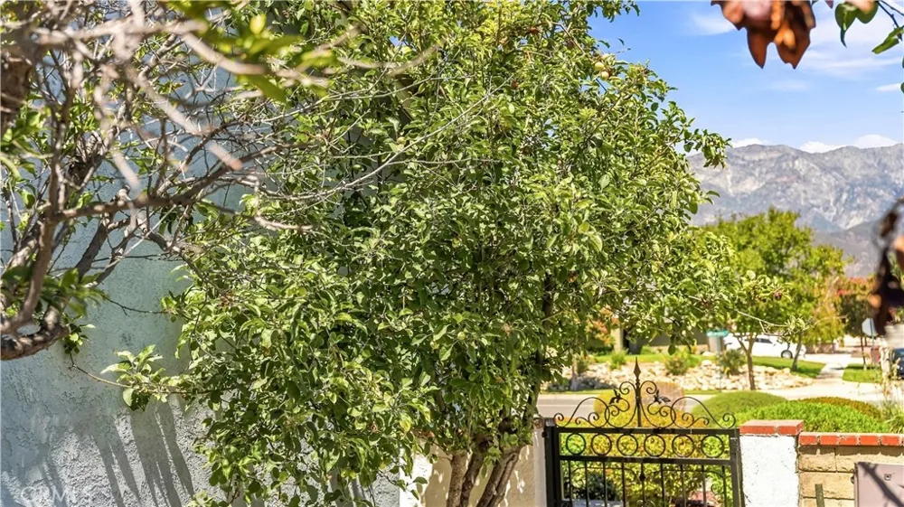 8449 Lemon Avenue Rancho Cucamonga, CA 91701