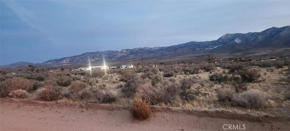 Alamo Lucerne Valley, CA 92356