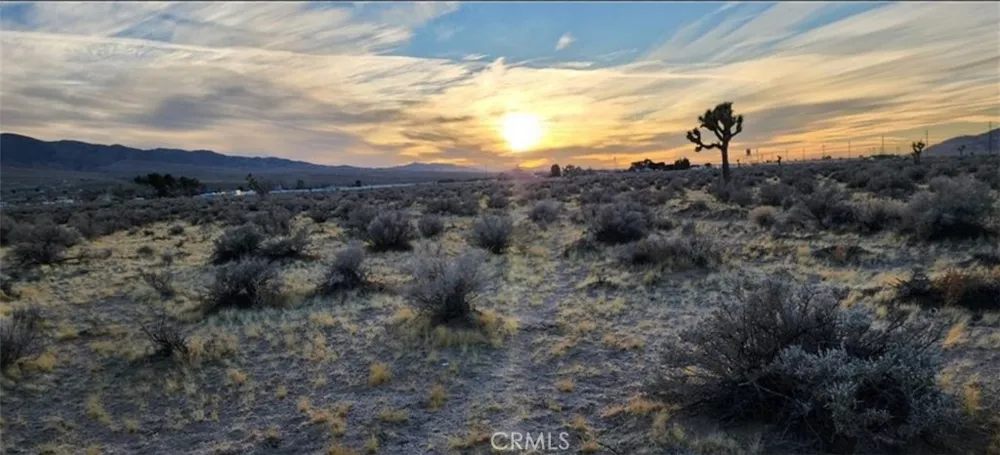 Alamo Lucerne Valley, CA 92356