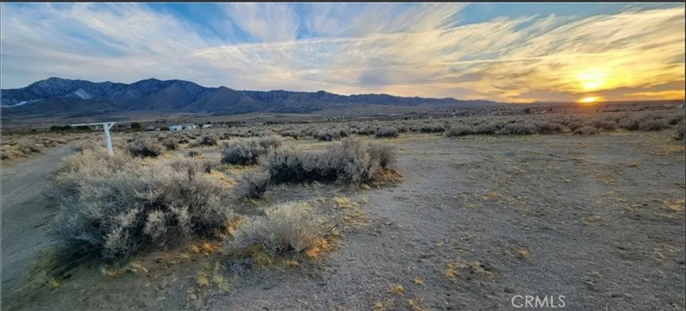 Alamo Lucerne Valley, CA 92356