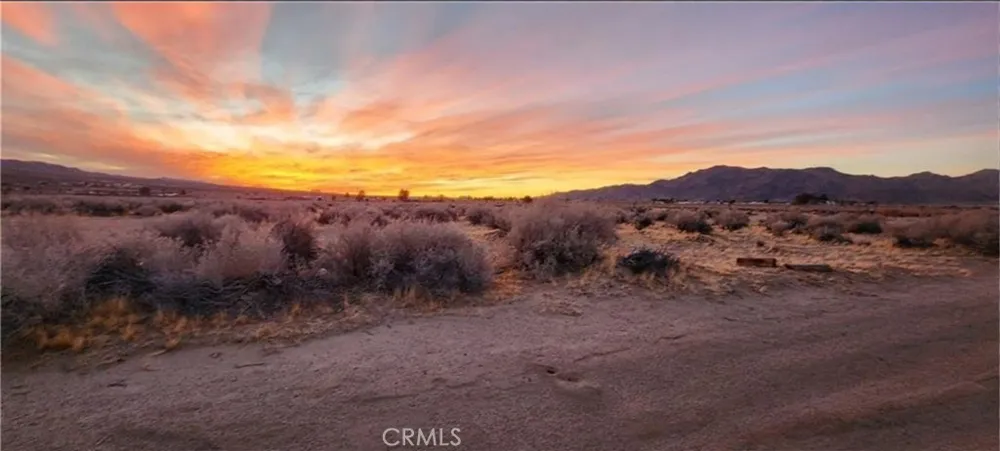 Alamo Lucerne Valley, CA 92356