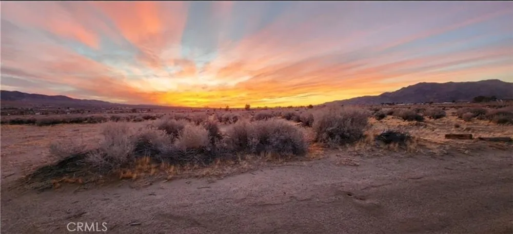 Alamo Lucerne Valley, CA 92356