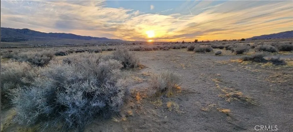 Alamo Lucerne Valley, CA 92356