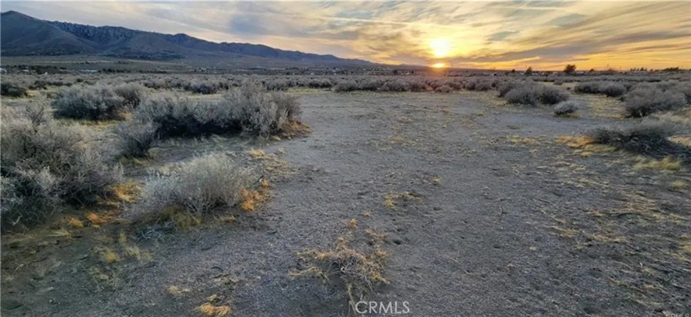 Alamo Lucerne Valley, CA 92356