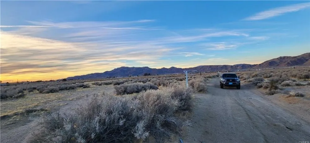 Alamo Lucerne Valley, CA 92356