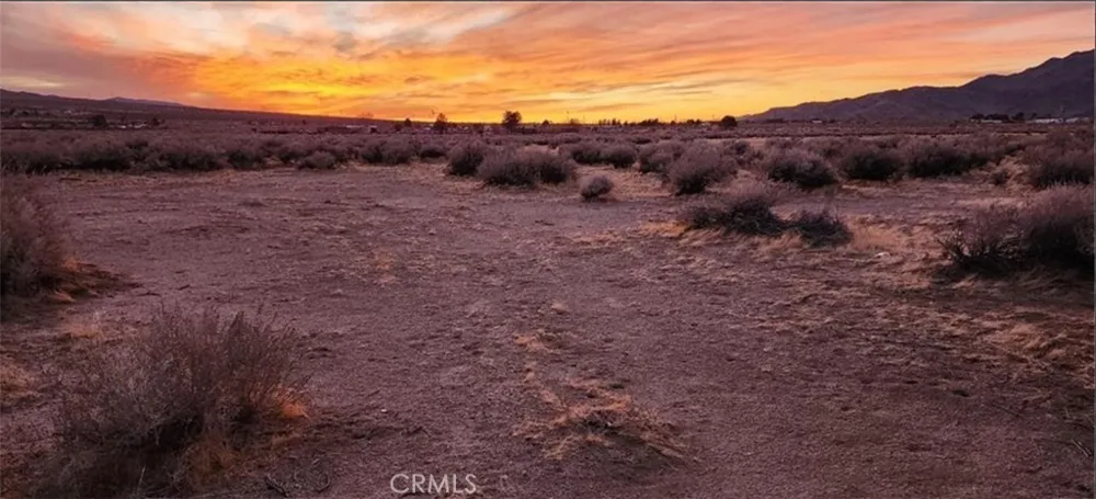 Alamo Lucerne Valley, CA 92356