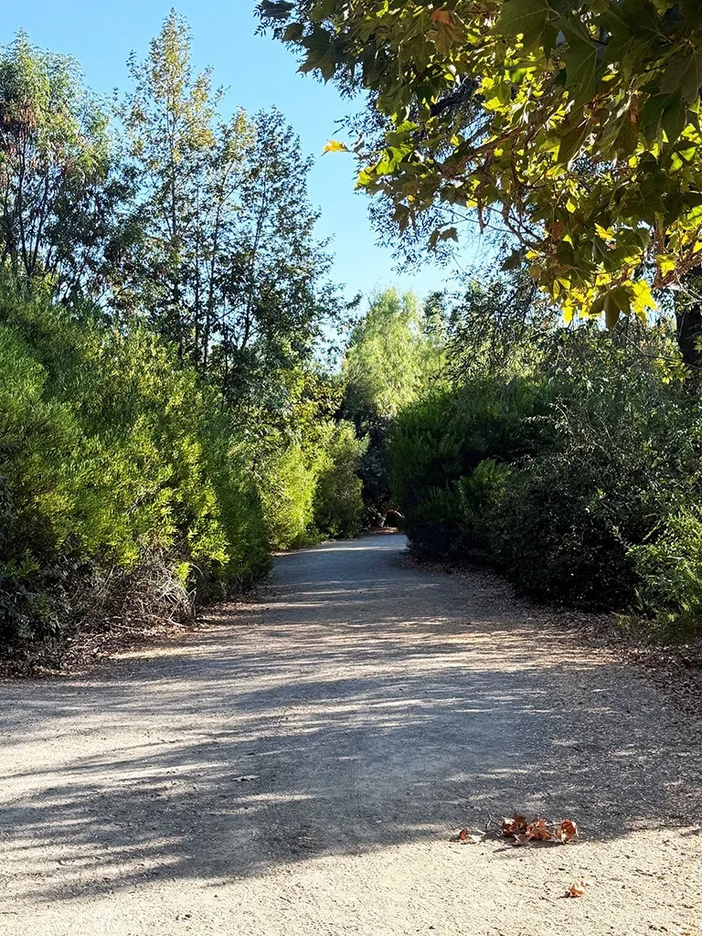 19320 EUREKA RIVER PLACE Walnut, CA 91789