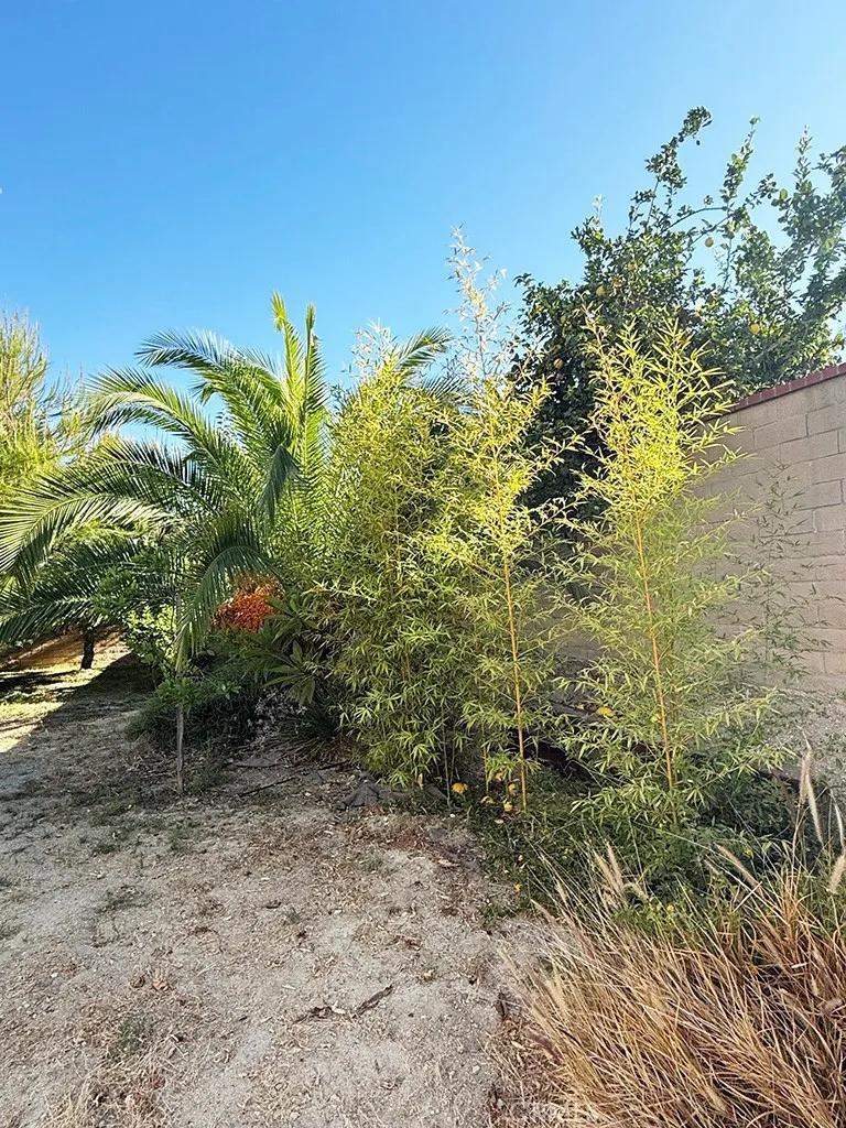 19320 EUREKA RIVER PLACE Walnut, CA 91789
