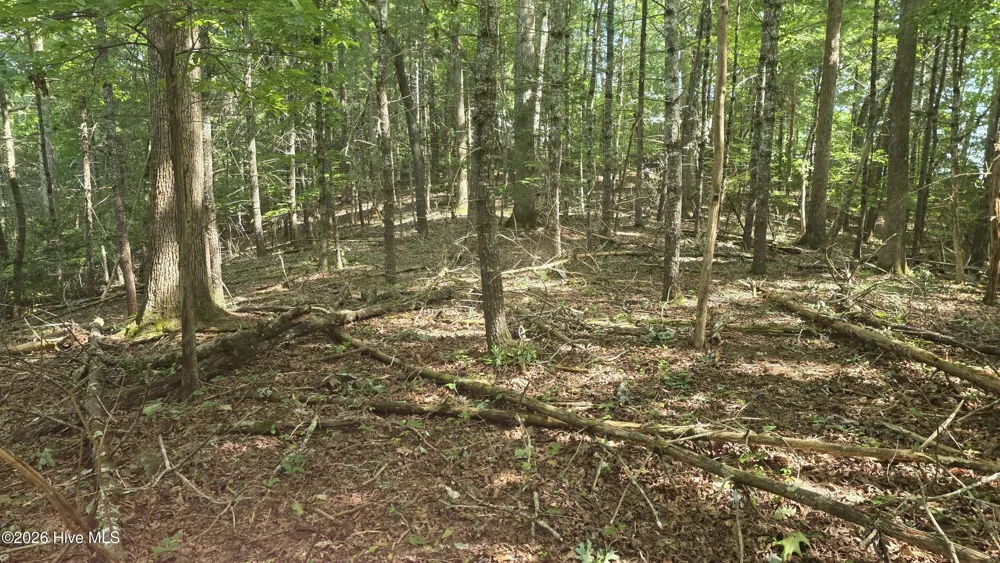 Lot 9 Peachtree Hills Lane Murphy, NC 28906