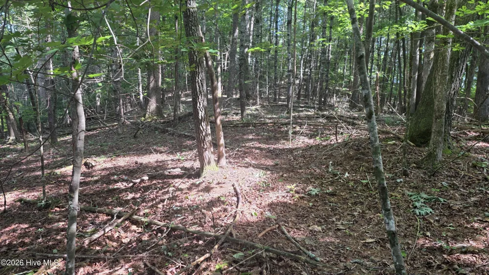 Lot 9 Peachtree Hills Lane Murphy, NC 28906