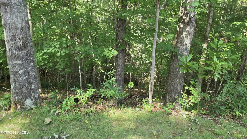 Lot 9 Peachtree Hills Lane Murphy, NC 28906