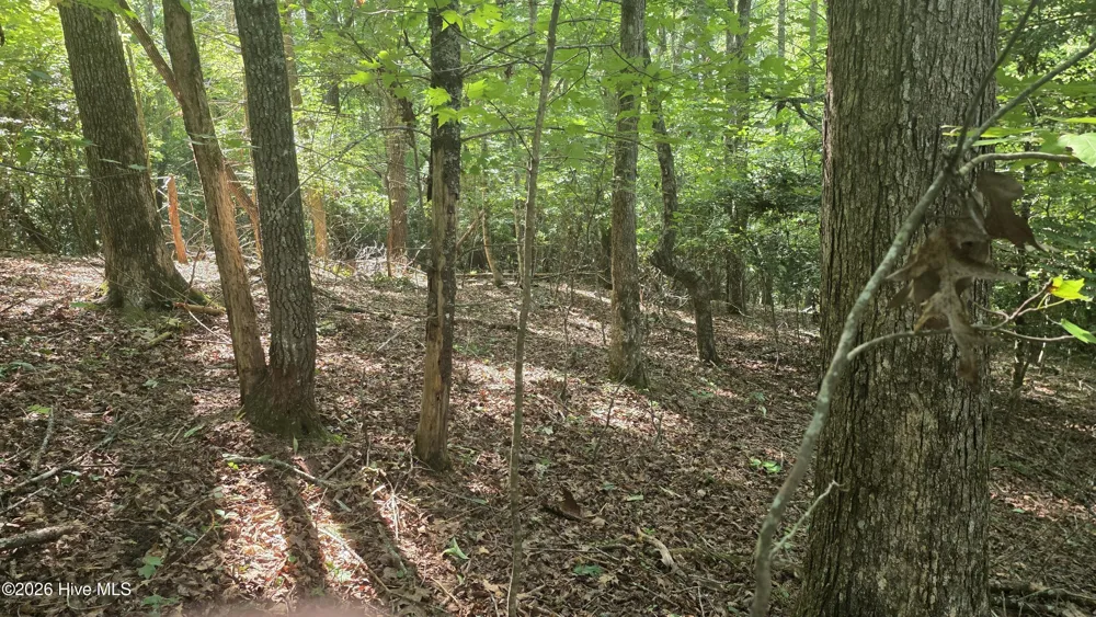 Lot 9 Peachtree Hills Lane Murphy, NC 28906