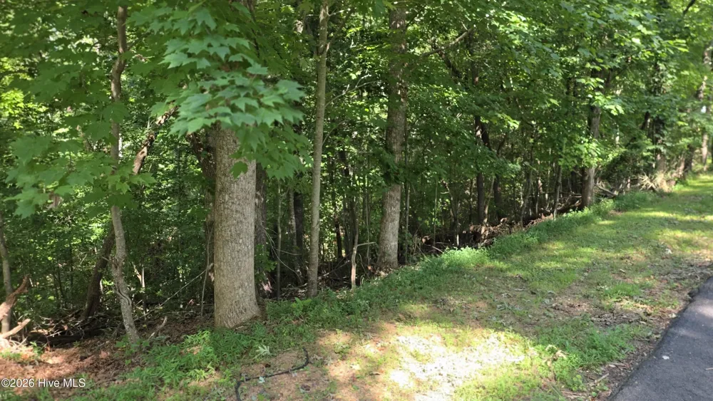 Lot 9 Peachtree Hills Lane Murphy, NC 28906
