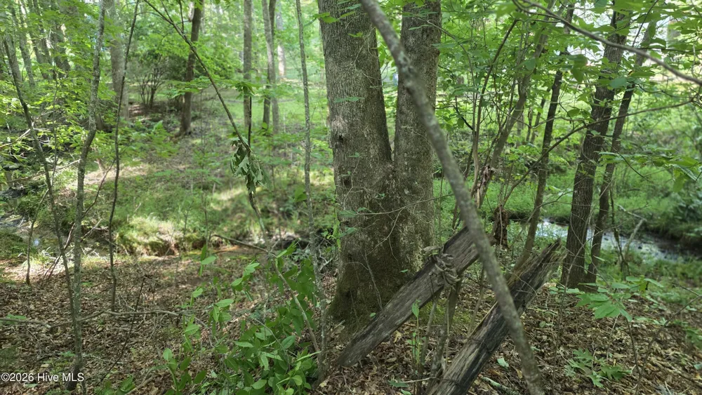 Lot 9 Peachtree Hills Lane Murphy, NC 28906