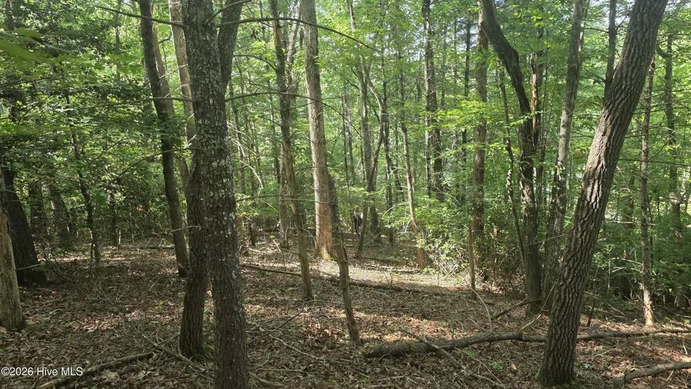 Lot 9 Peachtree Hills Lane Murphy, NC 28906