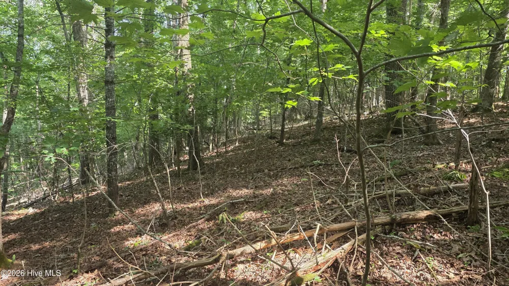 Lot 9 Peachtree Hills Lane Murphy, NC 28906