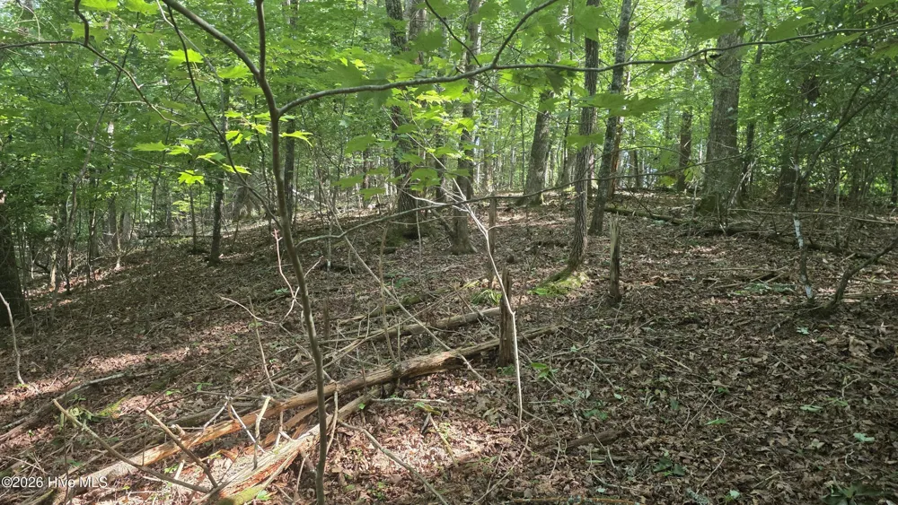 Lot 9 Peachtree Hills Lane Murphy, NC 28906